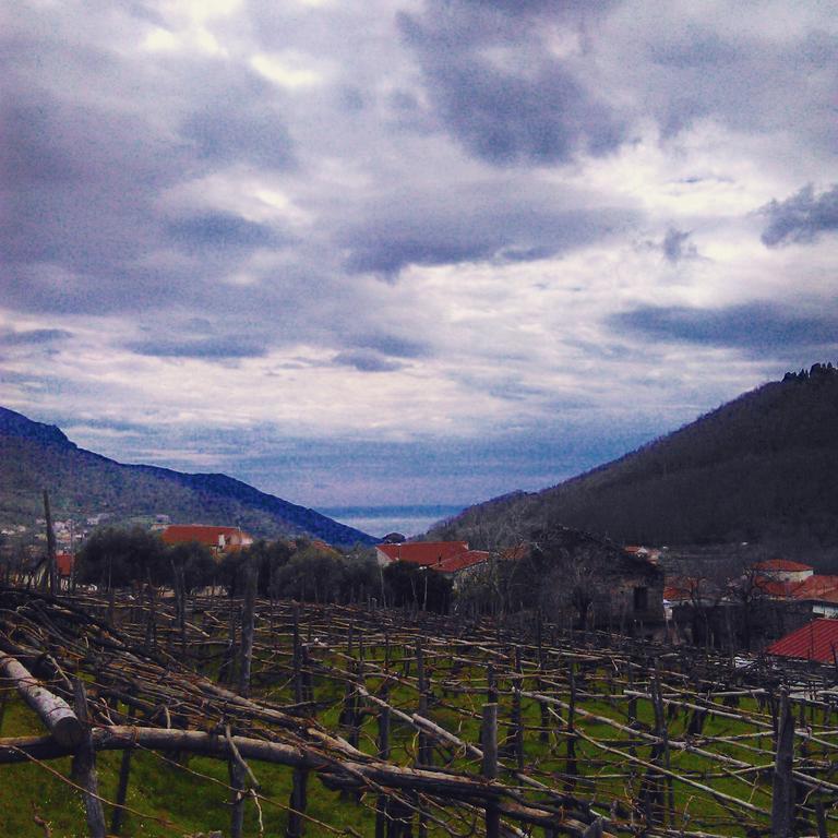 Agriturismo Mare E Monti Трамонти Экстерьер фото