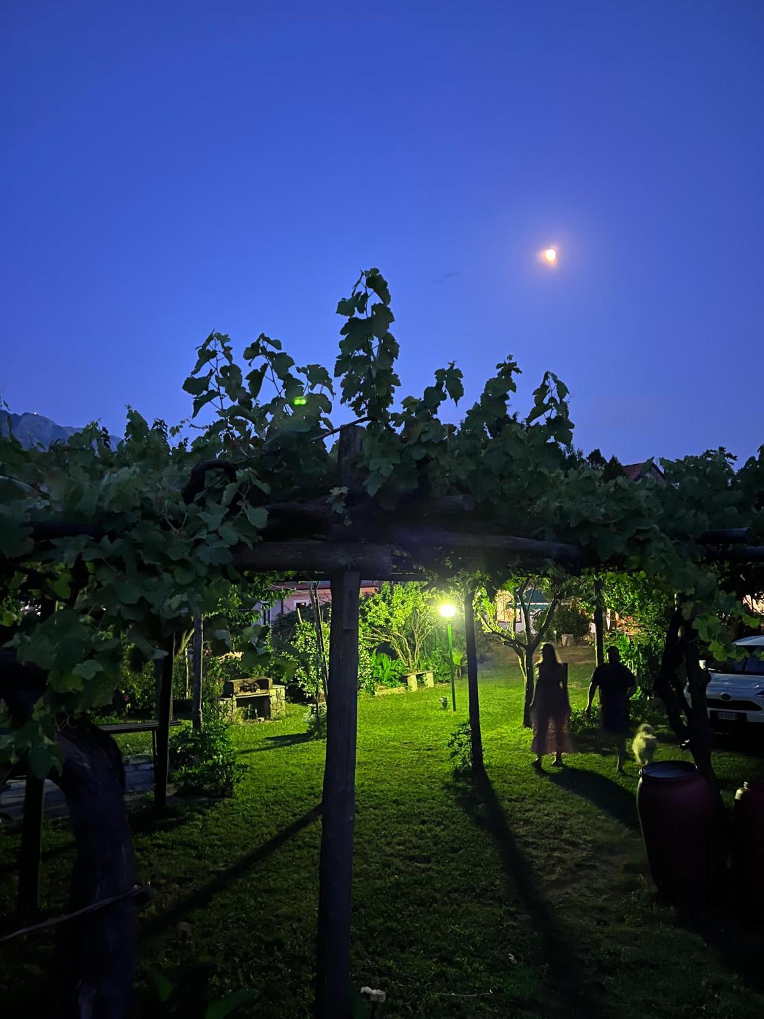 Agriturismo Mare E Monti Трамонти Экстерьер фото