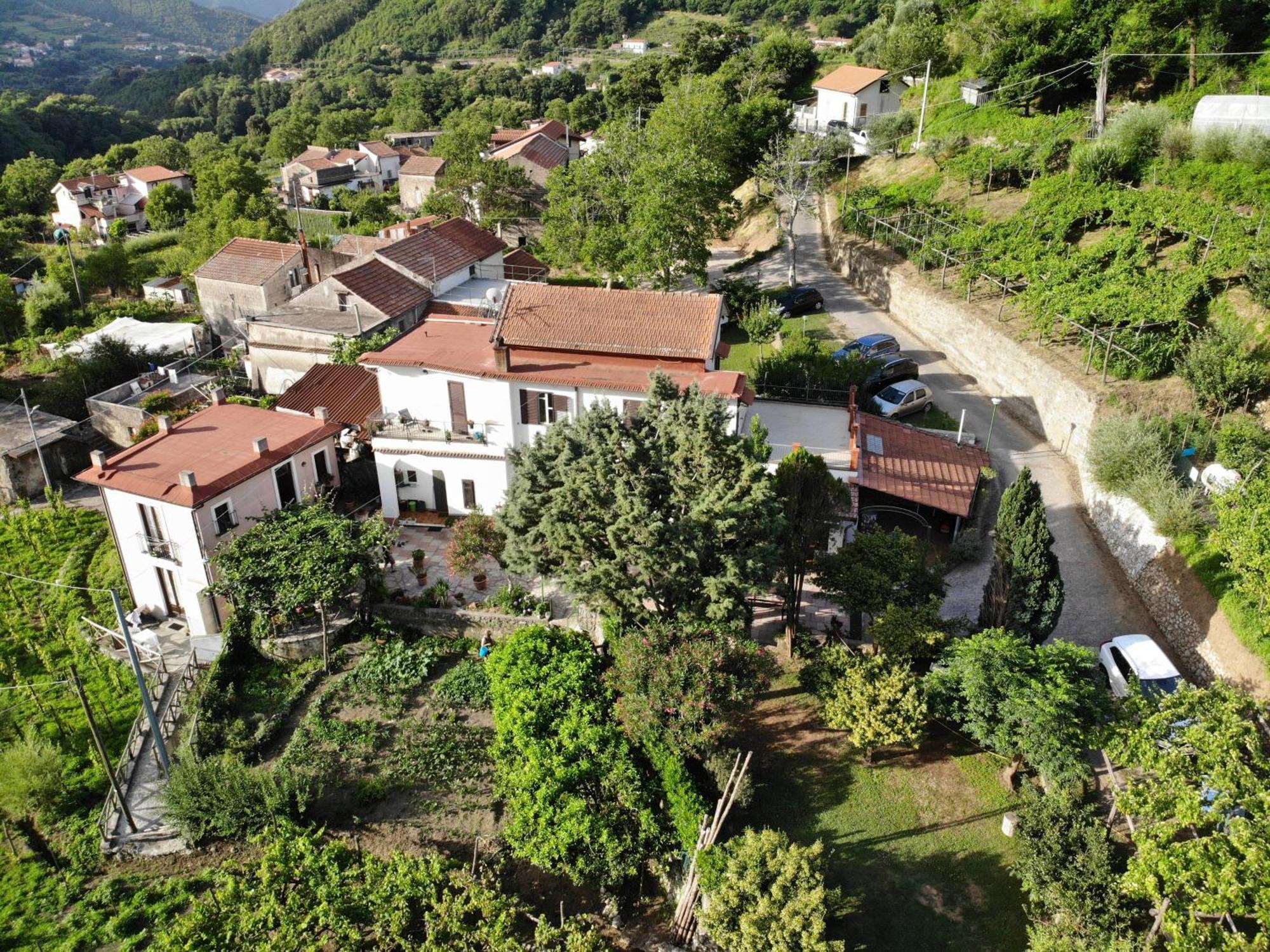 Agriturismo Mare E Monti Трамонти Экстерьер фото