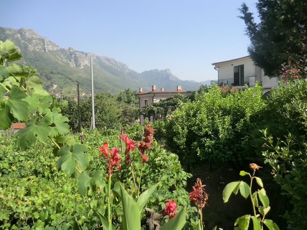 Agriturismo Mare E Monti Трамонти Экстерьер фото