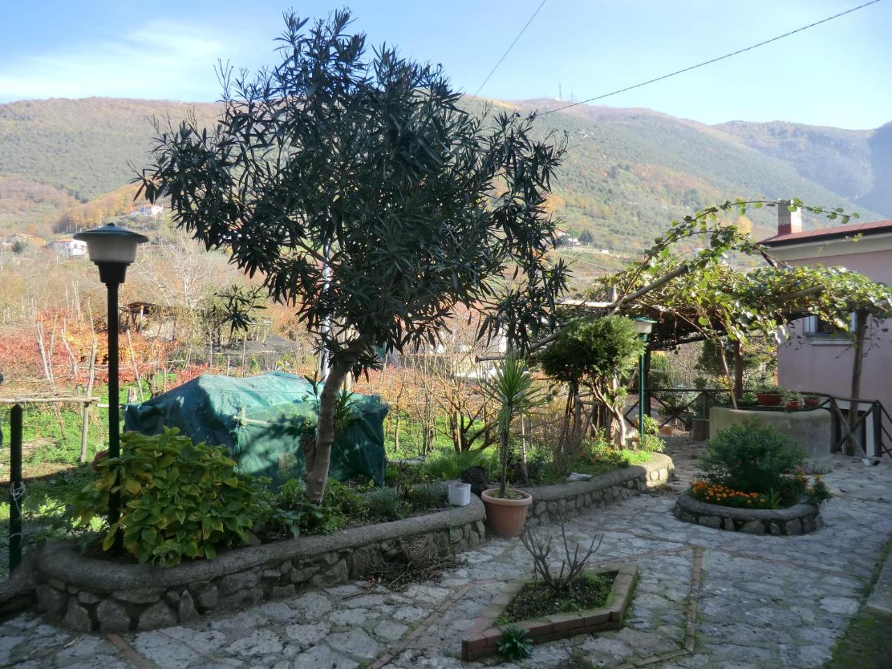 Agriturismo Mare E Monti Трамонти Экстерьер фото